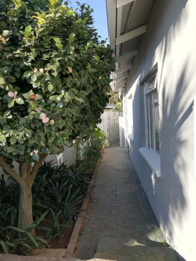Willow Guest House Боксбург Екстериор снимка